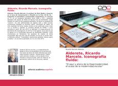 Обложка Alderete, Ricardo Marcelo. Iconografía fluida: