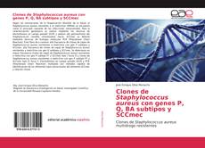 Обложка Clones de Staphylococcus aureus con genes P, Q, BA subtipos y SCCmec