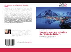 Un país con un estatus de "Estado Débil": kitap kapağı