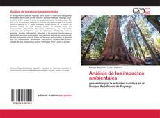 Couverture de Análisis de los impactos ambientales