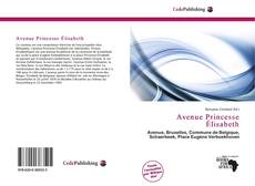 Capa do livro de Avenue Princesse Élisabeth 