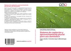 Sistema de captación y aprovechamiento pluvial para uso doméstico的封面