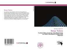 Capa do livro de Borja Valero 