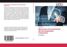 Barreras al crecimiento de las pequeñas empresas的封面