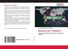 Portada del libro de Metanero de 173000m3