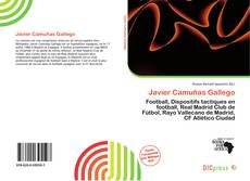 Portada del libro de Javier Camuñas Gallego