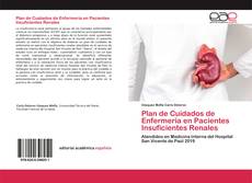 Plan de Cuidados de Enfermería en Pacientes Insuficientes Renales的封面