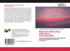 Migración, Mercados Laborales y Flexiseguridad的封面