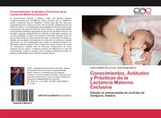 Borítókép a  Conocimientos, Actitudes y Prácticas de la Lactancia Materna Exclusiva - hoz