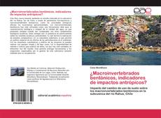 ¿Macroinvertebrados bentónicos, indicadores de impactos antrópicos? kitap kapağı