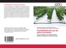 Buchcover von Factibilidad del uso de polvo de piedra