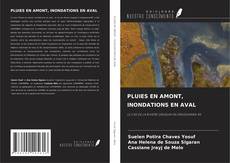 Borítókép a  PLUIES EN AMONT, INONDATIONS EN AVAL - hoz