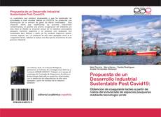 Propuesta de un Desarrollo Industrial Sustentable Post Covid19: kitap kapağı