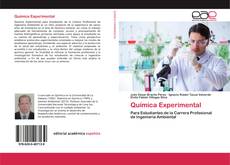 Química Experimental的封面