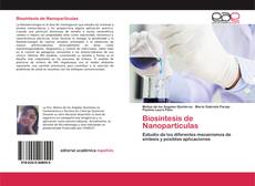 Biosíntesis de Nanopartículas的封面