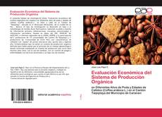 Evaluación Económica del Sistema de Producción Orgánica的封面
