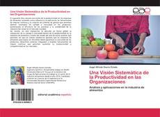 Copertina di Una Visión Sistemática de la Productividad en las Organizaciones