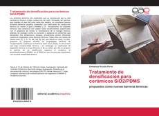 Couverture de Tratamiento de densificación para cerámicos SiO2/PDMS