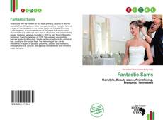 Fantastic Sams的封面
