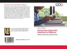 Couverture de Panorama actual del biodiésel en México