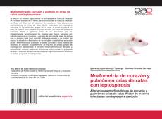 Portada del libro de Morfometría de corazón y pulmón en crías de ratas con leptospirosis