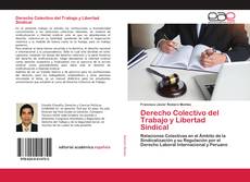 Couverture de Derecho Colectivo del Trabajo y Libertad Sindical