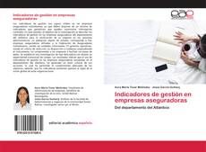 Couverture de Indicadores de gestión en empresas aseguradoras