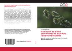 Couverture de Remoción de plomo proveniente de efluentes líquidos industriales