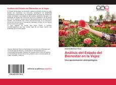 Buchcover von Análisis del Estado del Bienestar en la Vejez