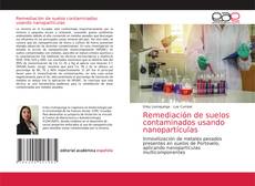 Couverture de Remediación de suelos contaminados usando nanopartículas