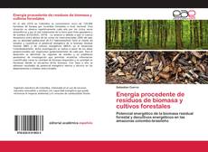 Capa do livro de Energía procedente de residuos de biomasa y cultivos forestales 