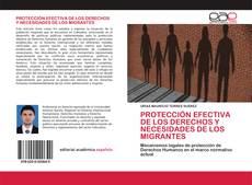 Couverture de PROTECCIÓN EFECTIVA DE LOS DERECHOS Y NECESIDADES DE LOS MIGRANTES