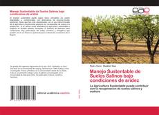 Copertina di Manejo Sustentable de Suelos Salinos bajo condiciones de aridez