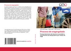 Copertina di Proceso de engargolado
