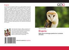 Couverture de Brujería