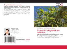 Portada del libro de Proyecto integrador de saberes