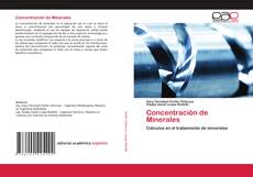 Copertina di Concentración de Minerales