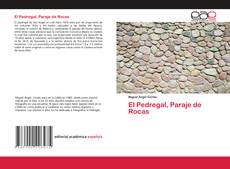 Portada del libro de El Pedregal, Paraje de Rocas
