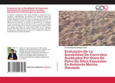 Copertina di Evaluación De La Durabilidad De Concretos Sustituidos Por Dosis De Polvo De Sílice Expuestos En Ambiente Marino Simulado