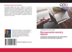Copertina di Recuperación social y laboral
