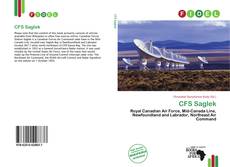 Copertina di CFS Saglek