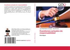 Cuestiones actuales de responsabilidad的封面