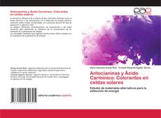 Copertina di Antocianinas y Ácido Carmínico: Colorantes en celdas solares