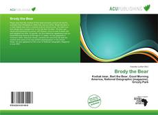 Brody the Bear的封面