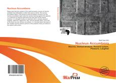 Bookcover of Nucleus Accumbens