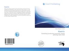 Bookcover of Ganttic