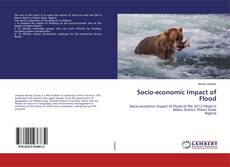 Couverture de Socio-economic Impact of Flood