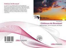 Capa do livro de Châteaux de Bruniquel 