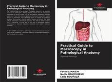 Copertina di Practical Guide to Macroscopy in Pathological Anatomy