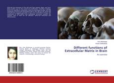 Borítókép a  Different functions of Extracellular Matrix in Brain - hoz